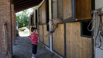 A stable with wooden stalls and a child feeding a horse.