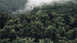景點