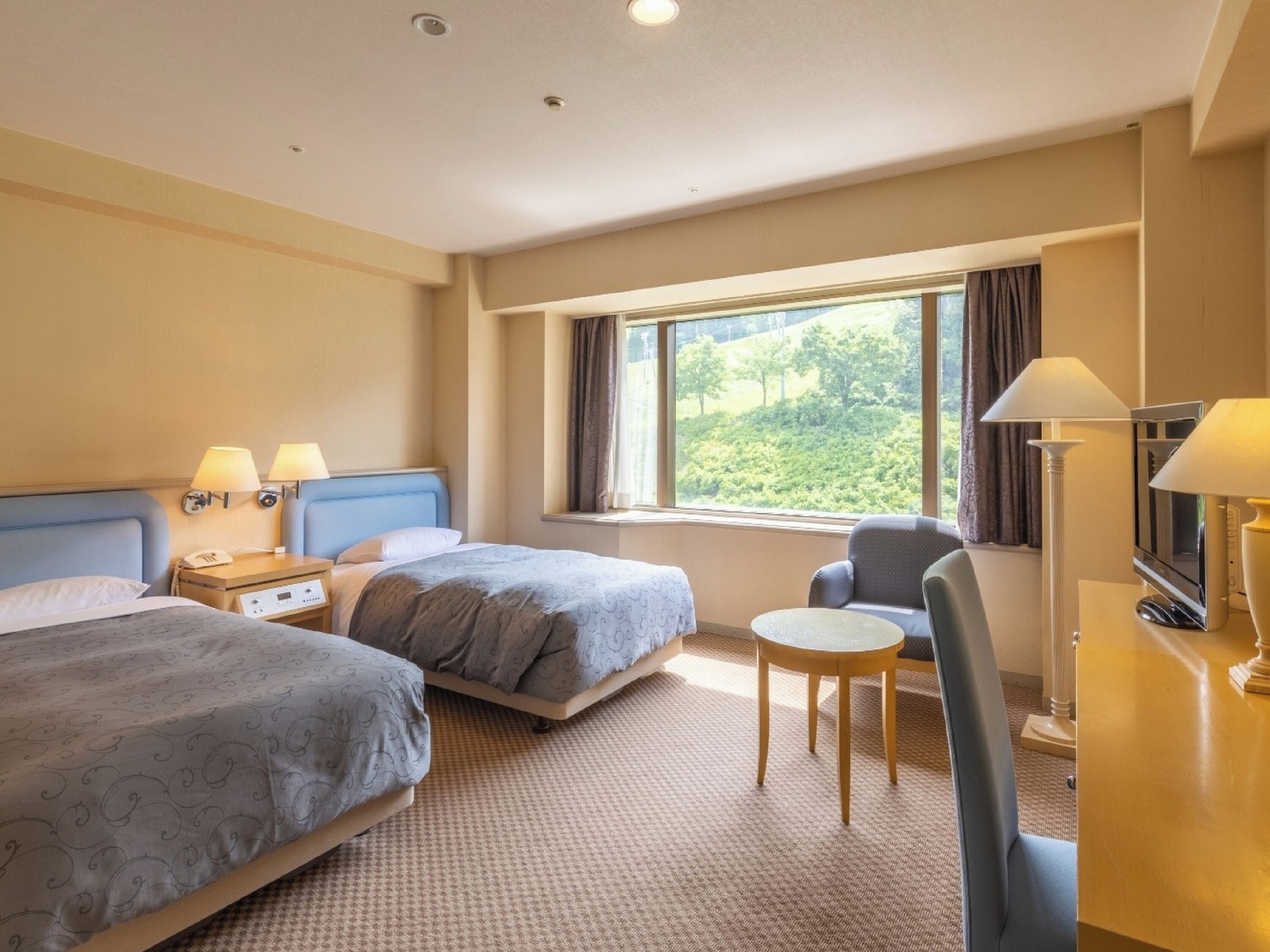 Caja fuerte, escritorio, wifi gratis