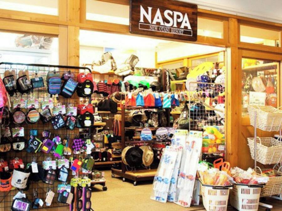 A store with a variety of bags and accessories on display.