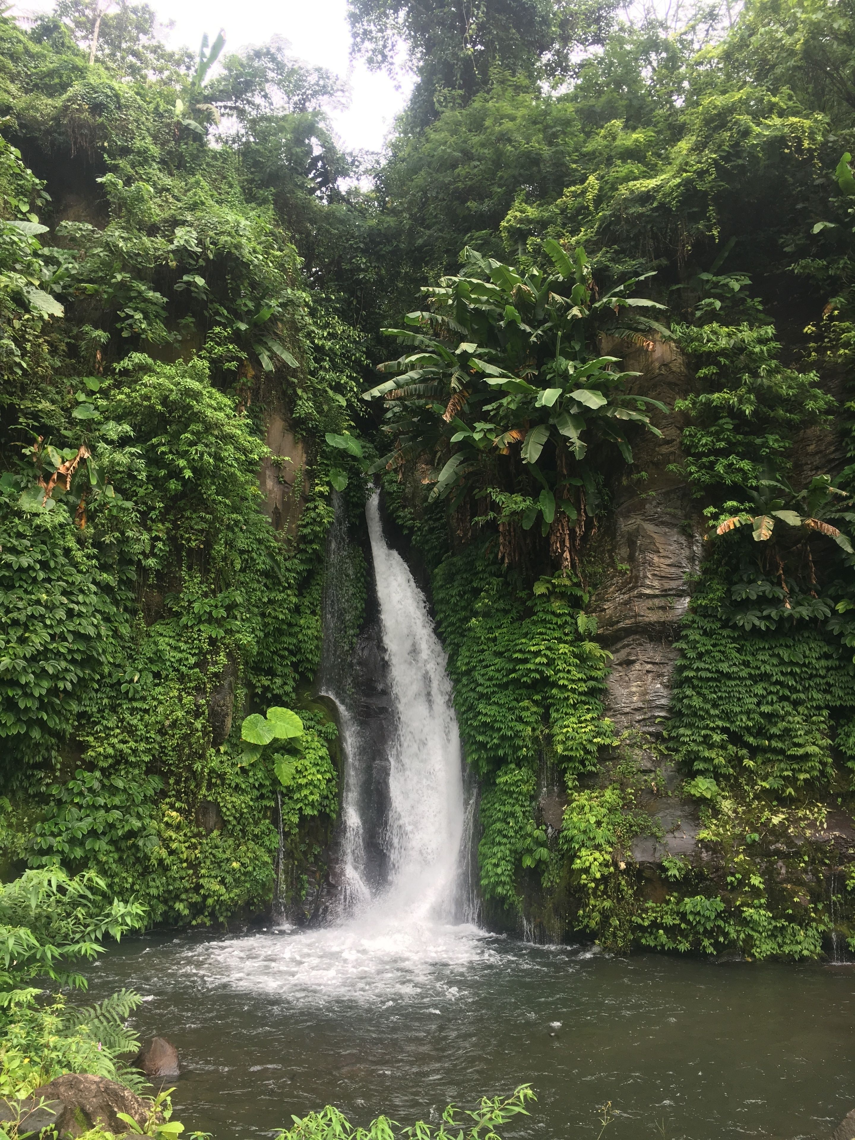 Foto - Candra Cottage