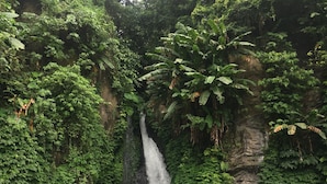 Une cascade entourée d’une végétation luxuriante.