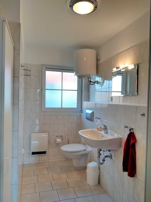 Dutxa, assecador de cabells, sabó i paper higiènic 