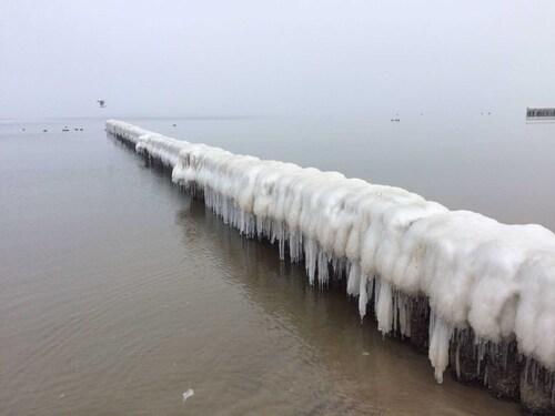 Zempin FeWo 03 Störtebekerweg 1a - Zempin FeWo 03 Störtebekerweg 1a