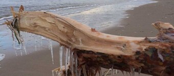 Zempin FeWo 03 Störtebekerweg 1a - Zempin FeWo 03 Störtebekerweg 1a