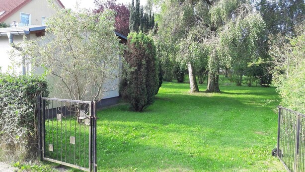 Un jardín bien cuidado con varios árboles y arbustos, una reja metálica y una casa al fondo.