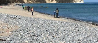 Vacation apartment garden - Breakfast in the morning sun - Ferienwohnungen Polchow -