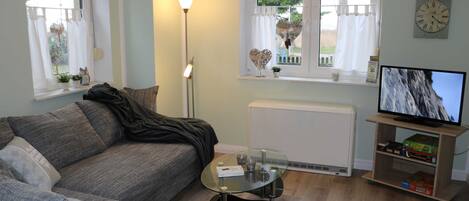 A living room with a sofa, a glass coffee table, a TV on a stand, a radiator, and a window with curtains.