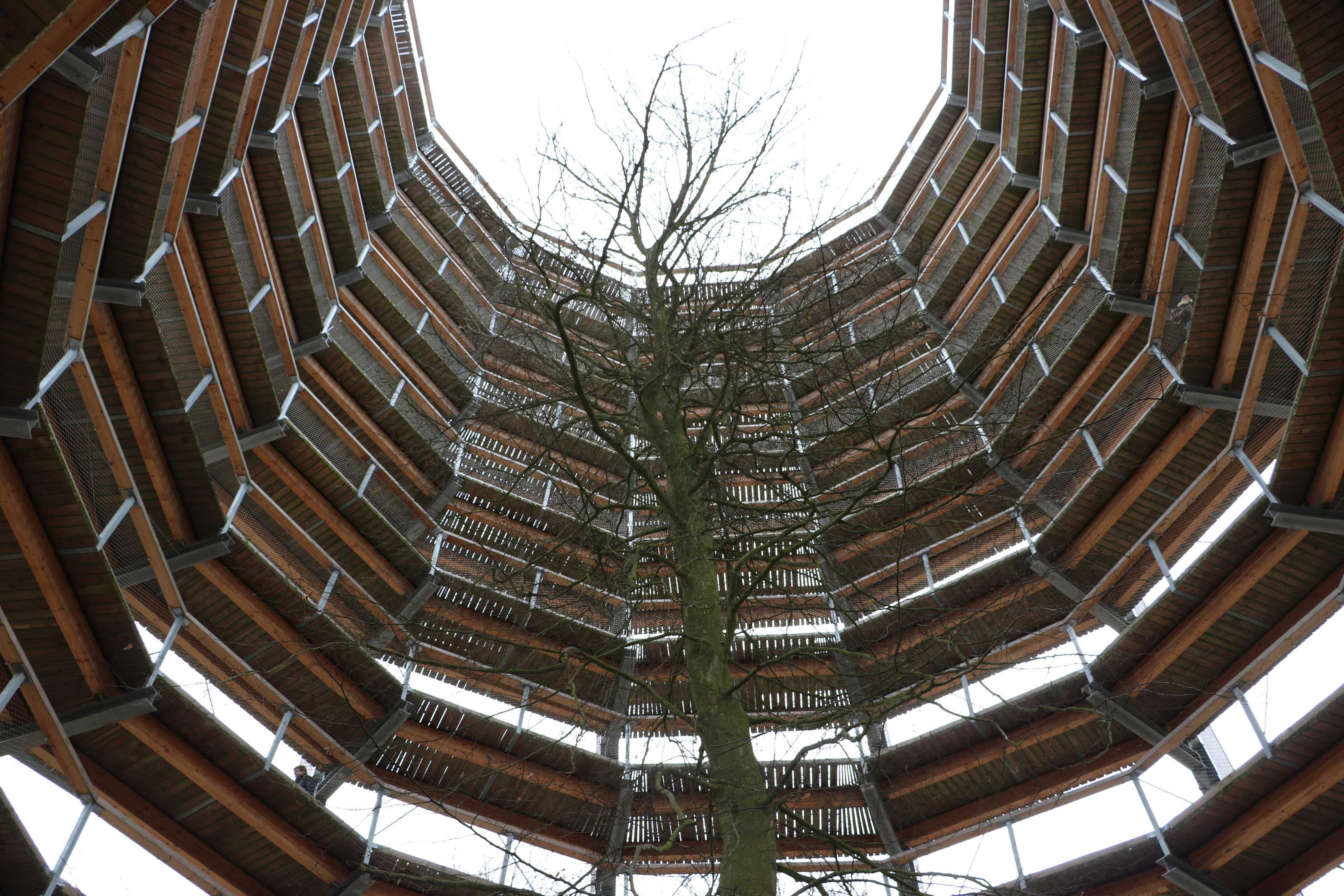 A large, circular architectural structure with a central tree.
