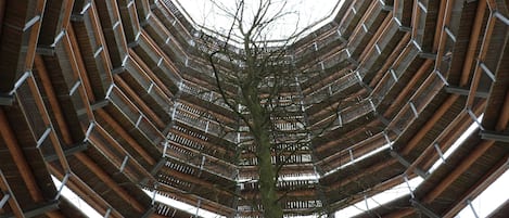 A large, circular architectural structure with a central tree.