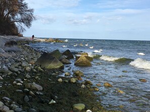 Eine felsige Küstenlinie mit Wellen, Schwänen und blauem Himmel.