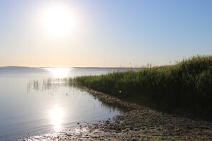 Imagem sem classificação, 4 de 51, botão