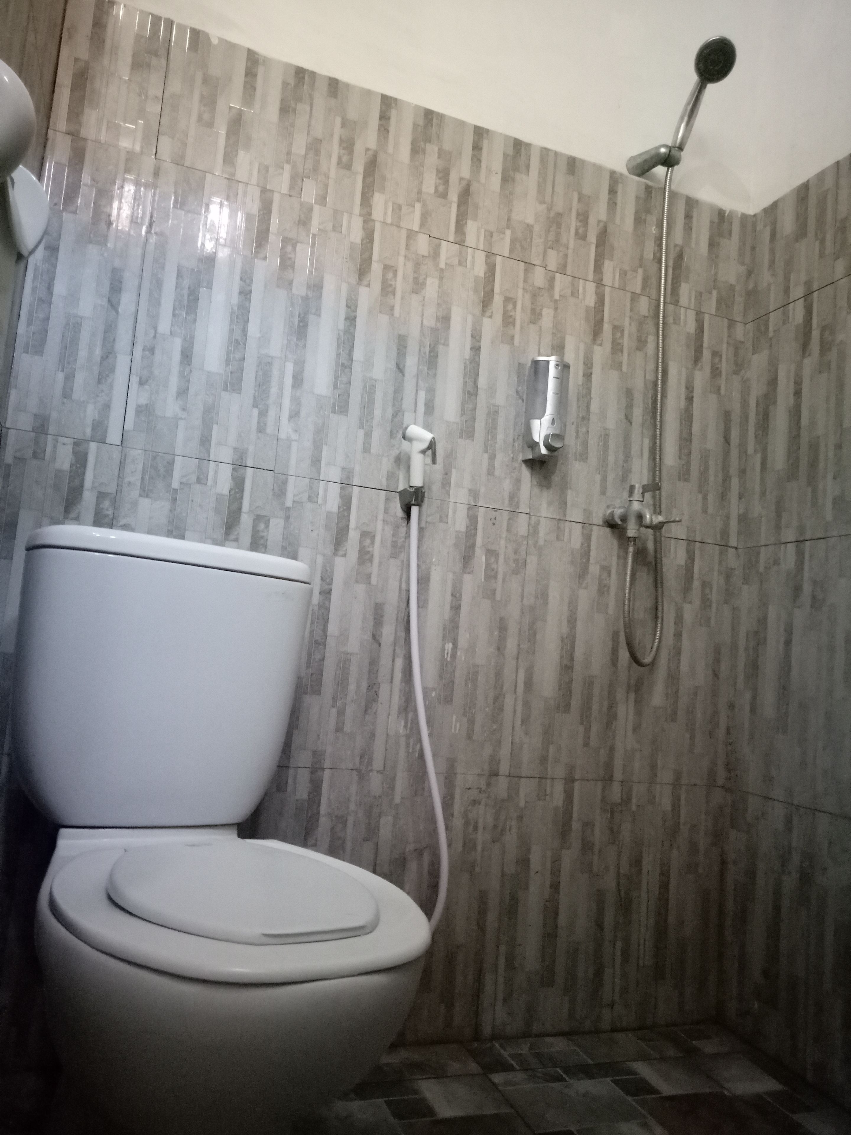 Deluxe Double Room | Bathroom | Shower, free toiletries, bidet, towels