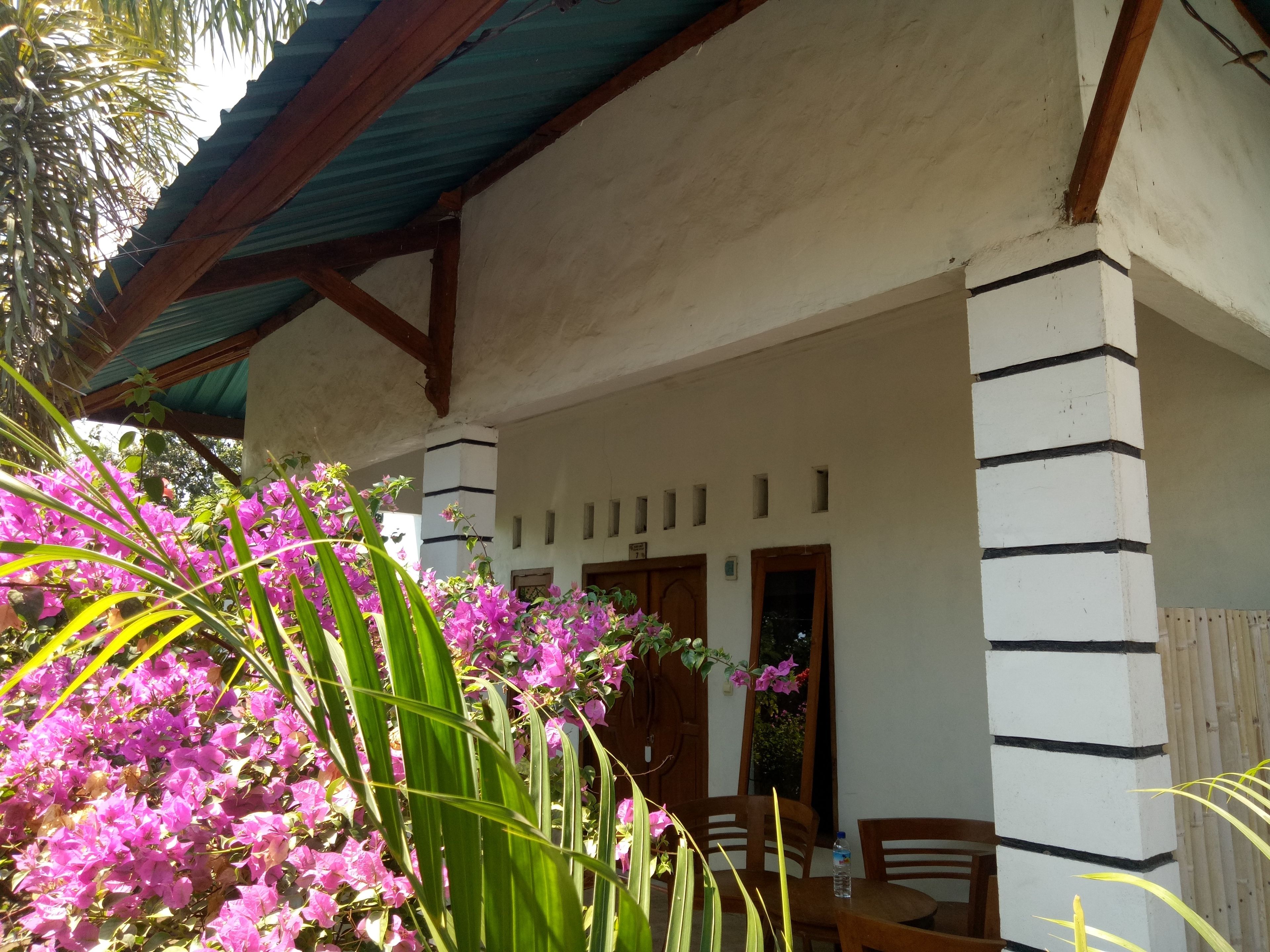 Family Double Room | View from room