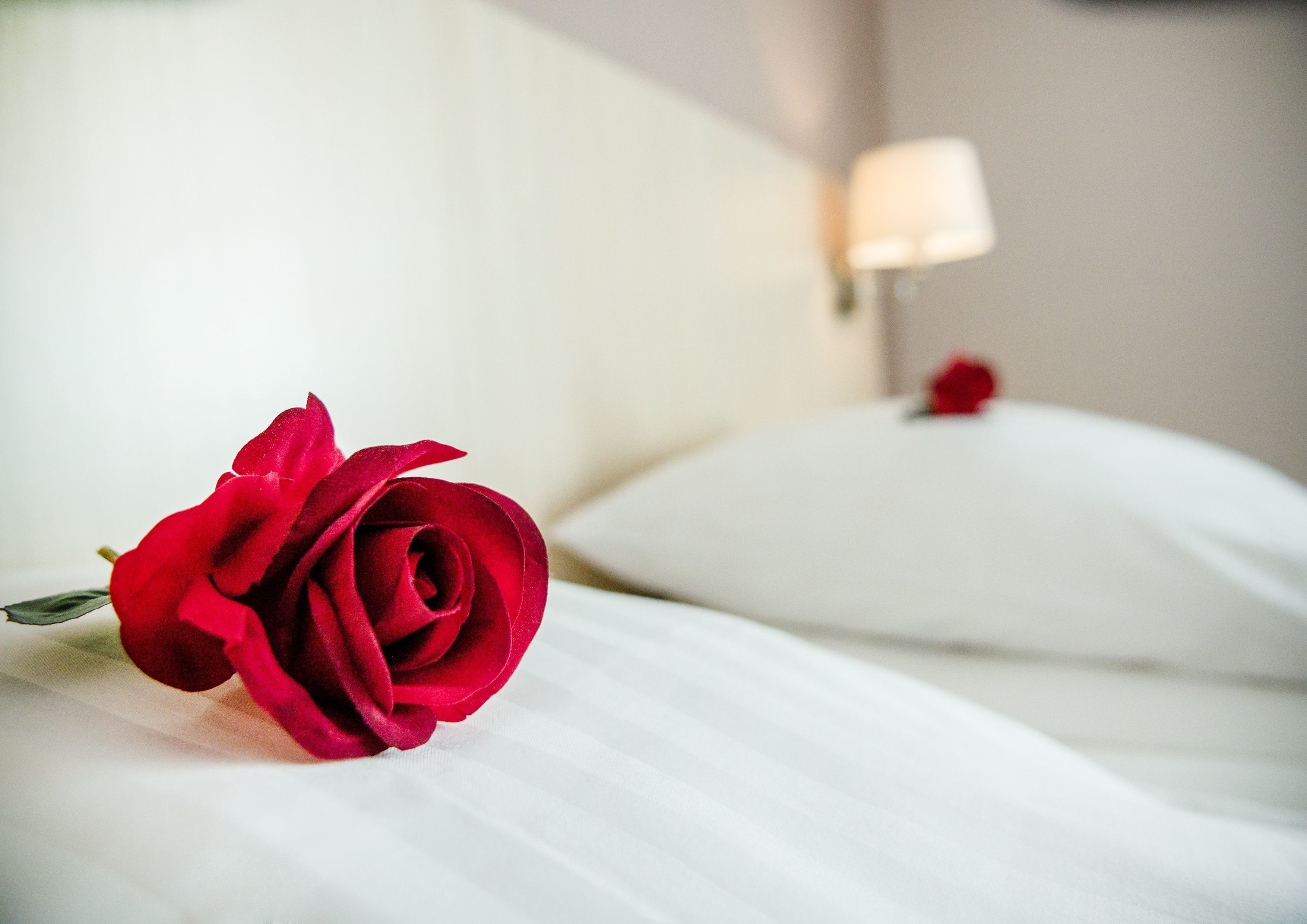 in-room safe, desk, cots/infant beds, rollaway beds