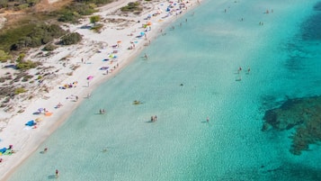 Vlak bij het strand, wit zand, vervoer van/naar het strand, parasols