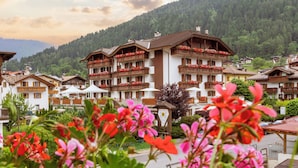 Un hôtel doté de nombreux balcons ornés de fleurs, qui se dresse sur fond de paysage montagneux.