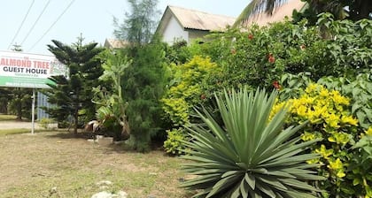 Almond Tree Guest House