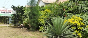 Almond Tree Guest House