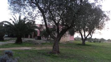 Property grounds
