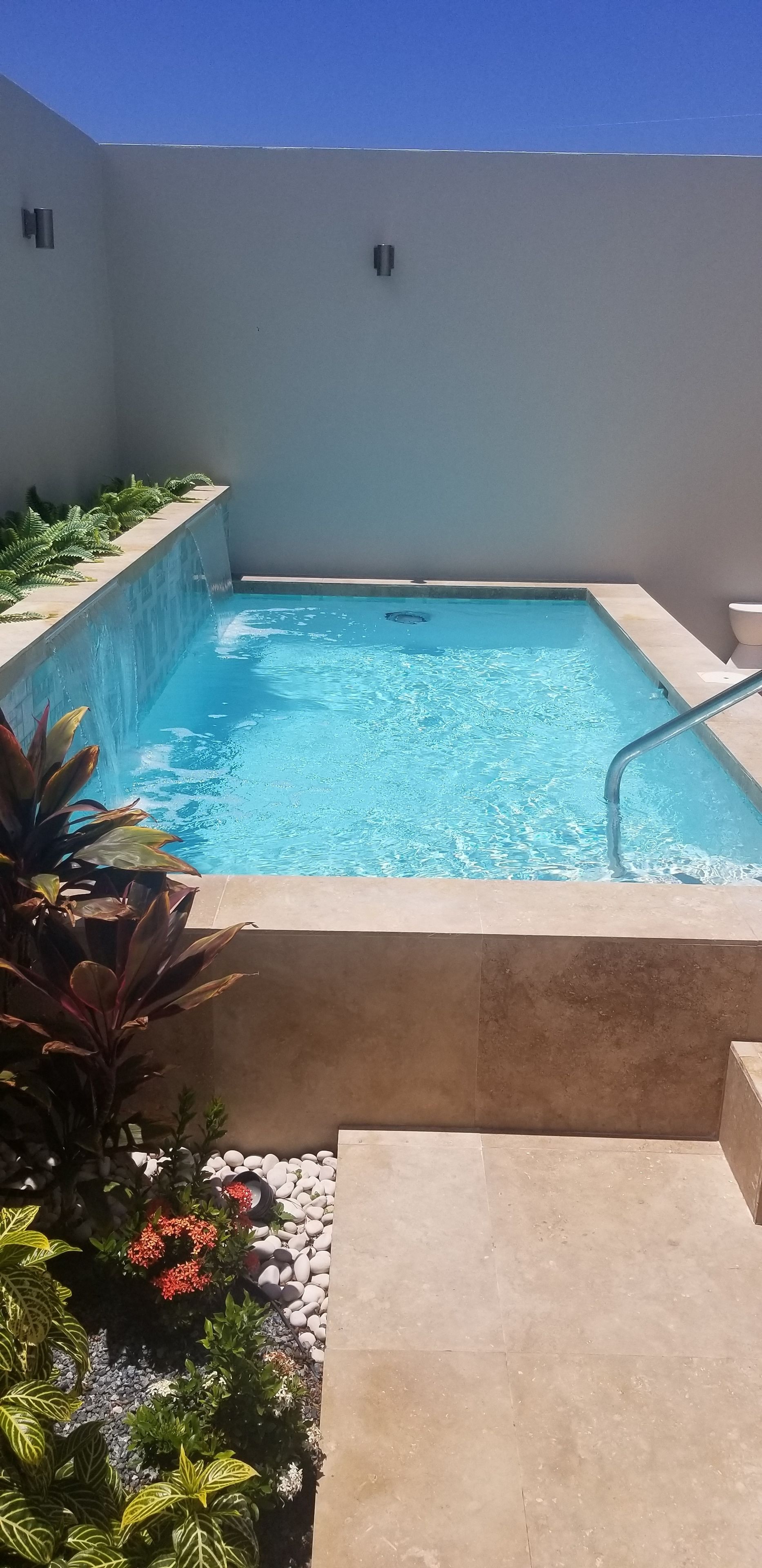 Une piscine rectangulaire à l’eau d’un bleu limpide, entourée d’un petit muret en pierre et de différentes plantes.