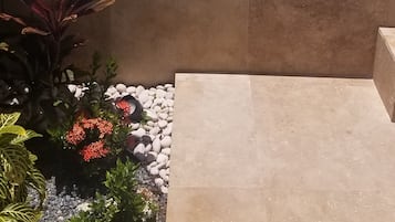 Une piscine rectangulaire à l’eau d’un bleu limpide, entourée d’un petit muret en pierre et de différentes plantes.