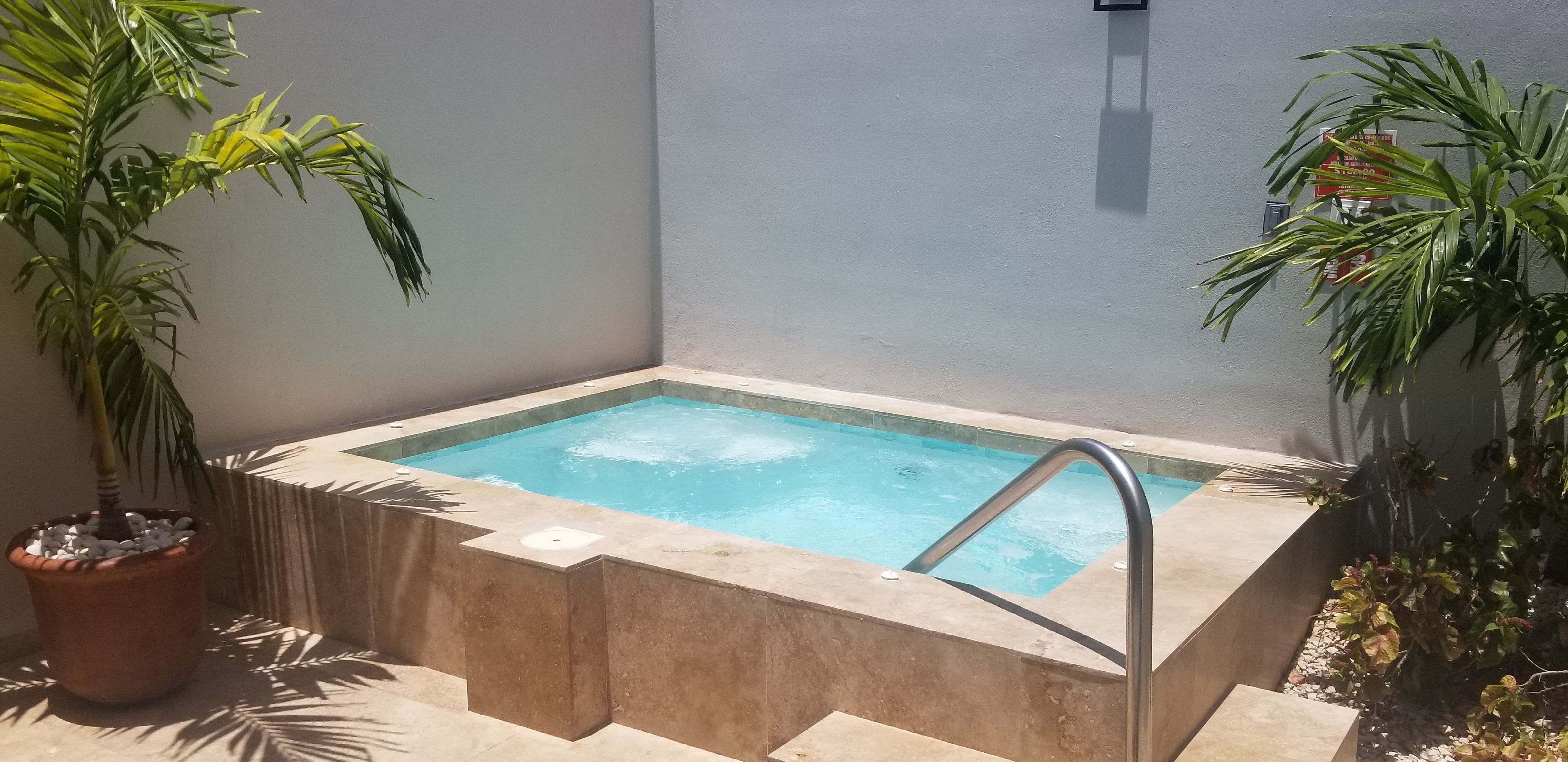Une piscine rectangulaire avec un escalier en métal, entourée de plantes en pot et bordée d’un mur sobre.