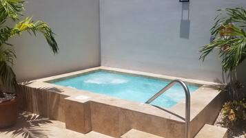 Une piscine rectangulaire avec un escalier en métal, entourée de plantes en pot et bordée d’un mur sobre.