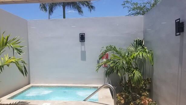 Pequena piscina cercada por paredes e plantas em vasos, com uma escada de metal.