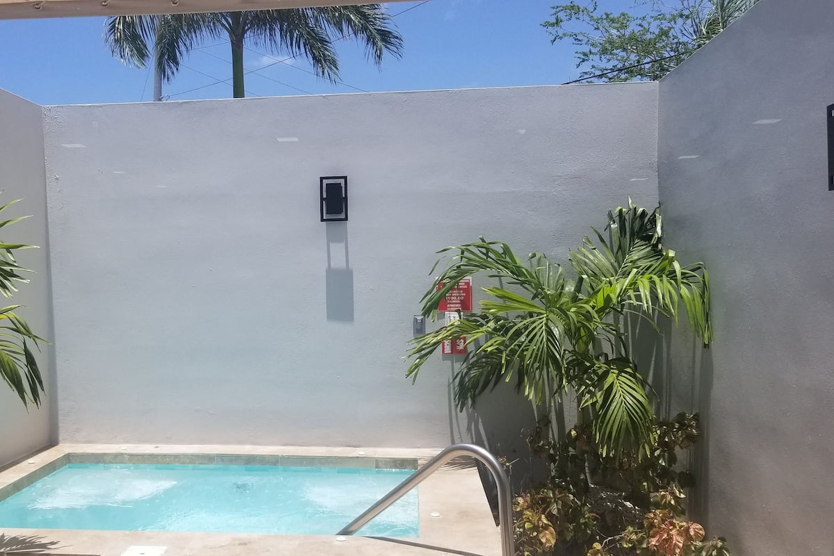 A small, enclosed swimming pool with a metal ladder, surrounded by walls and potted plants.
