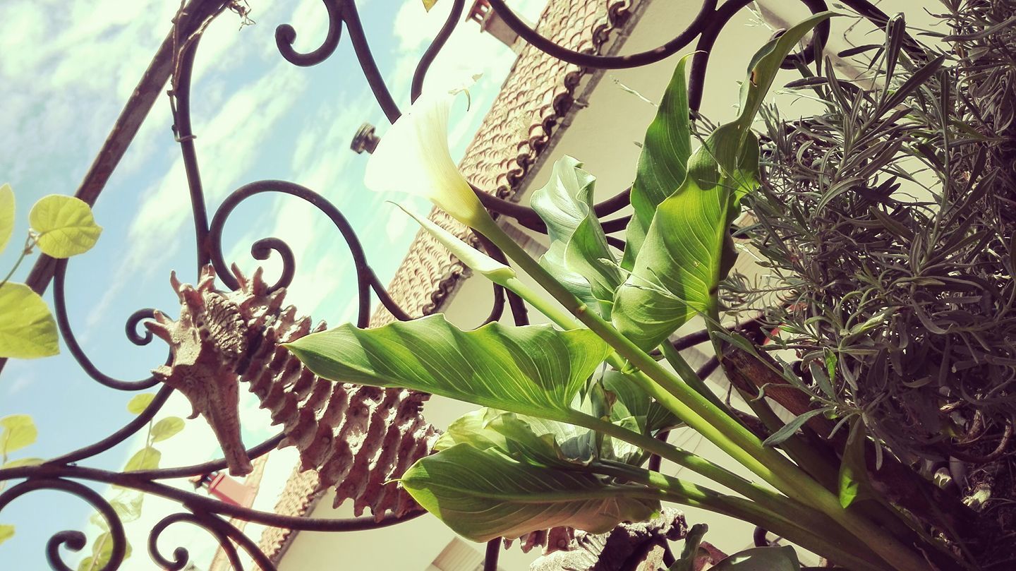 Foto - Posada La Gatera