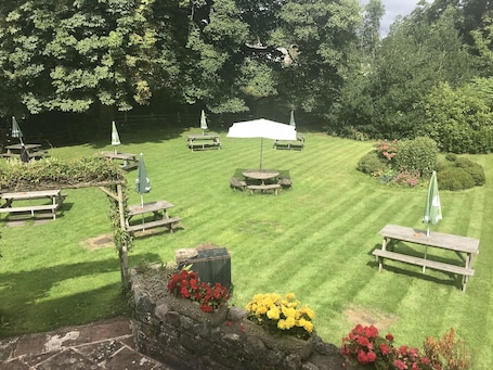 Vista desde la propiedad