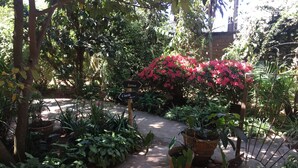 Garden - Ariandro Guest House (Antananarivo)