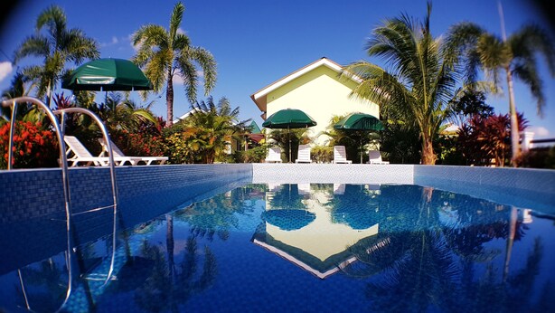 A swimming pool with clear water, surrounded by palm trees and a building with a tiled roof.