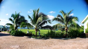 A paved walkway with palm trees and a view of a green field and distant buildings.