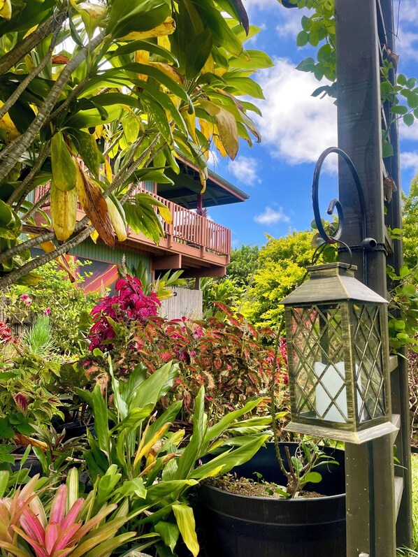 A lush garden with various plants and a lantern. - Halawai Haven, a Stylish Peaceful Retreat by Green Sands Beach (Naalehu)