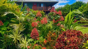 Una casa envoltada de vegetació abundant i plantes florides.