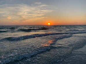 Beach - Beachfront 2BR/2BA Marco Island condo with pool, WiFi, and full kitchen. (Marco Island)