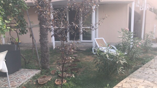 A garden with a palm tree, a white lounge chair, and a small plant with pink flowers.