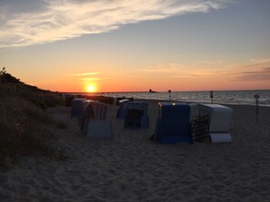 Une plage baignée de soleil, avec des chaises de plage et une jetée en arrière-plan.