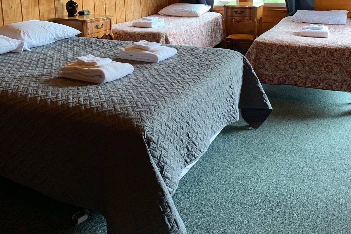 A wooden cabin room with two beds, a nightstand, a lamp, and a window with curtains.