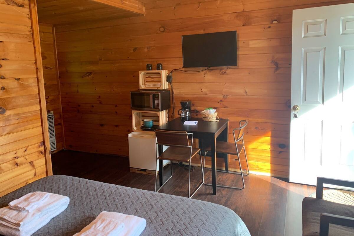 A cozy cabin room with wooden walls, a bed with two pillows, a small kitchenette with a microwave and coffee maker, a TV on the wall, and a door leading outside.