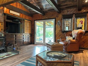 Smart TV, fireplace, DVD player, books