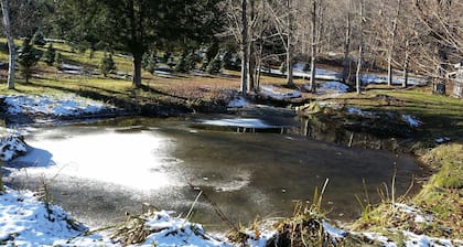 Viehättävä mökki - kaunis ympäristö