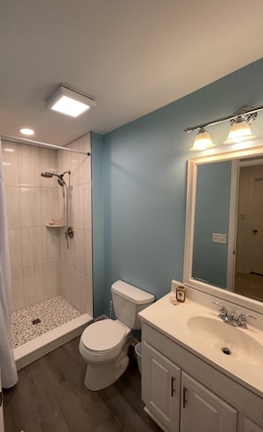 Combined shower/tub, hair dryer, towels, soap
