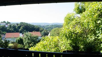 Vista desde un balcón sobre una zona residencial con casas y vegetación.