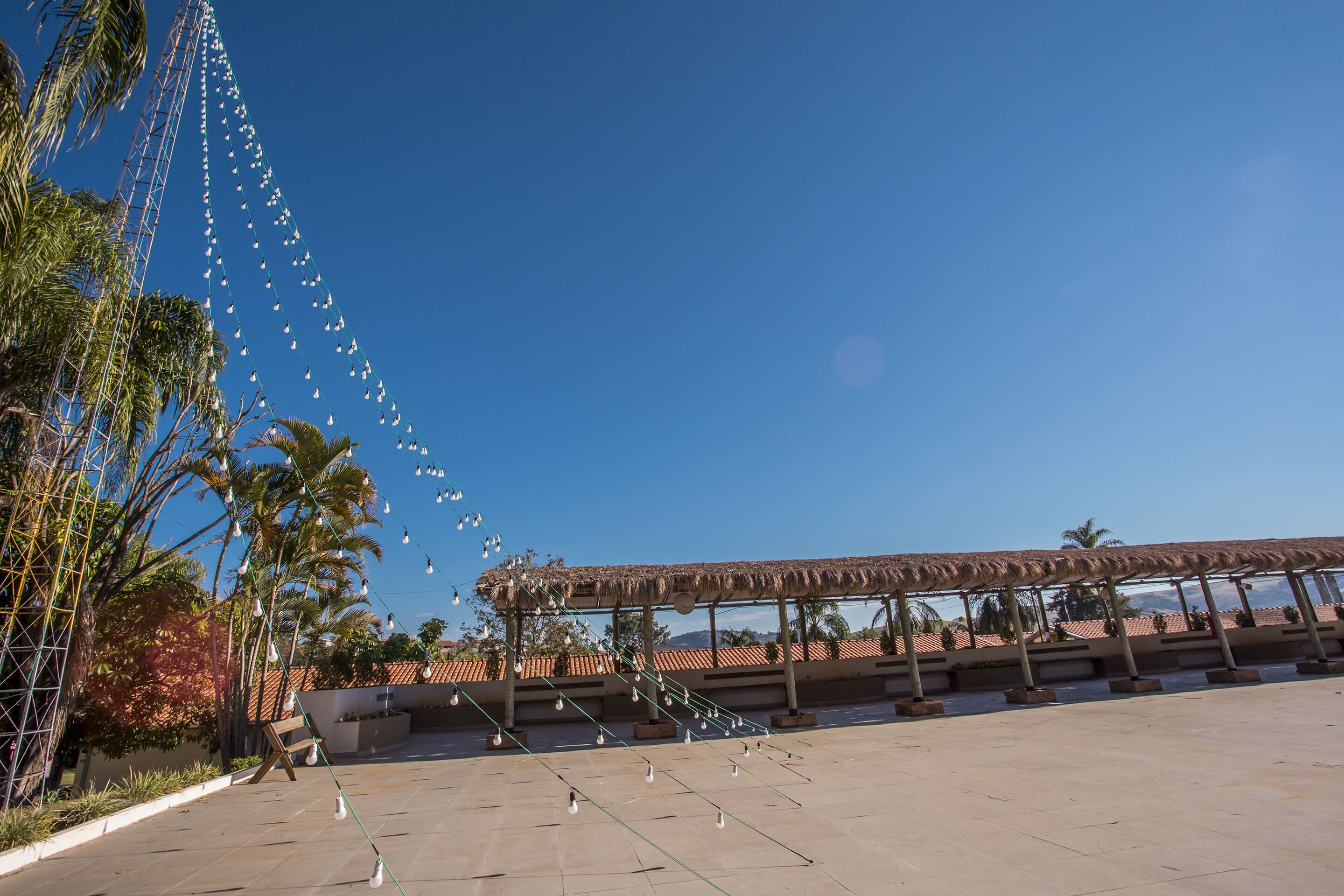 A covered outdoor area with a pergola, palm trees, and a clear blue sky.