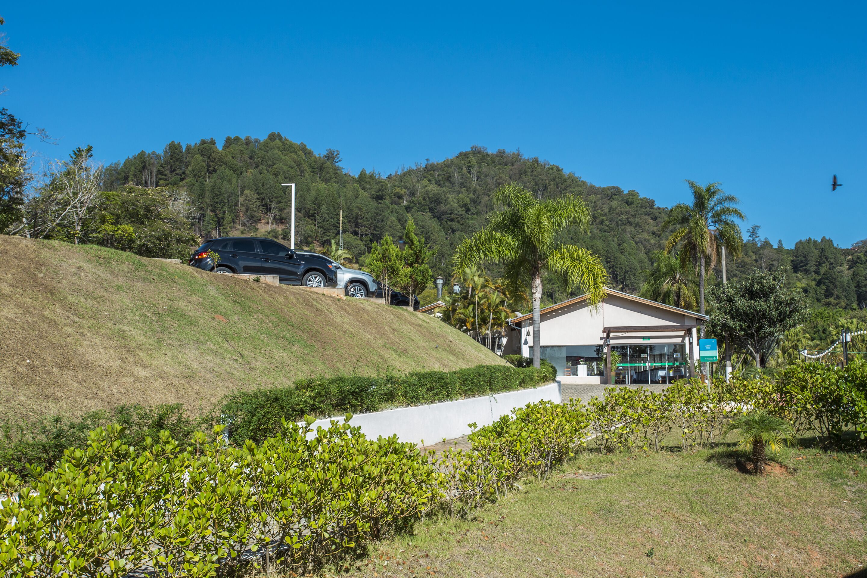 A building with a flat roof, surrounded by greenery and a hill.