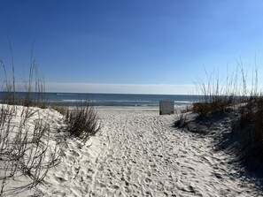 Rannalla, ilmaiset rantakuljetukset, rantabaari