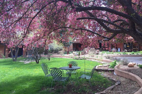 A patio with a table and chairs, surrounded by a garden with blooming trees.